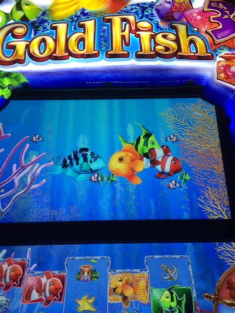 fish slot machine game